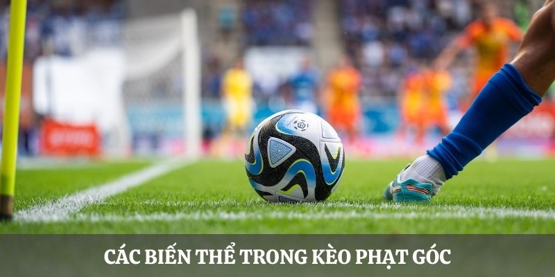 Trả lời cho câu hỏi các biến thể trong kèo phạt góc là gì