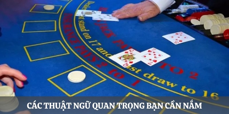 Các thuật ngữ quan trọng và cơ bản mà bạn cần nắm